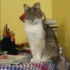 Отзыв от Антонина Горбачева